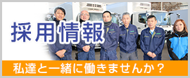 採用情報